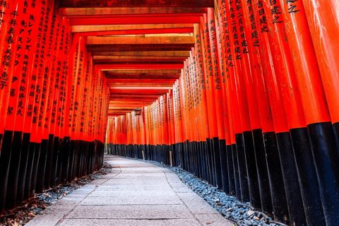 Kyoto & Nara: Fushimi Inari, Arashiyama & Sacred Deer Nara: UNESCO Ancient Capital, Great Buddha & Sacred Deer