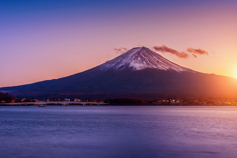 Tokyo: Private Mt. Fuji Luxury Day Tour – Fully Customizable Luxury Land Cruise Customizable Tour