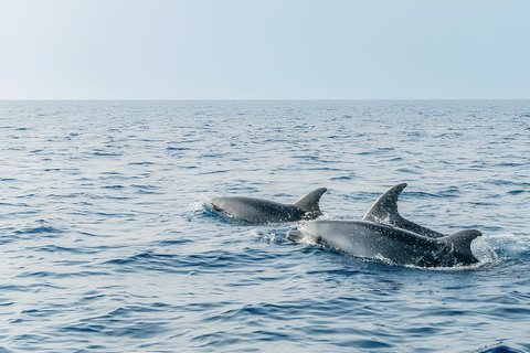 Cagliari: Devil's Saddle Boat Tour with Spritz and Chips