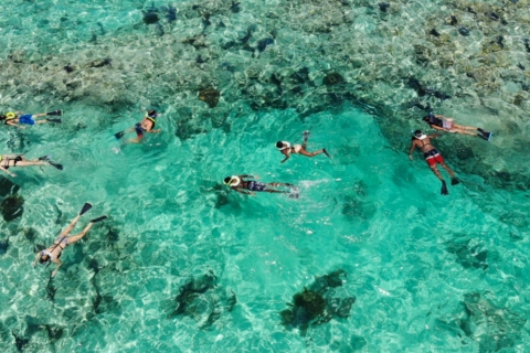 Miami : excursion d'une journée à Key West avec activités facultativesExcursion d'une journée + plongée en apnée avec Open Bar après la plongée en apnée