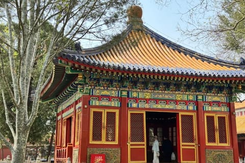 Beijing: Forbidden City & Summer Palace Private Subway Tour
