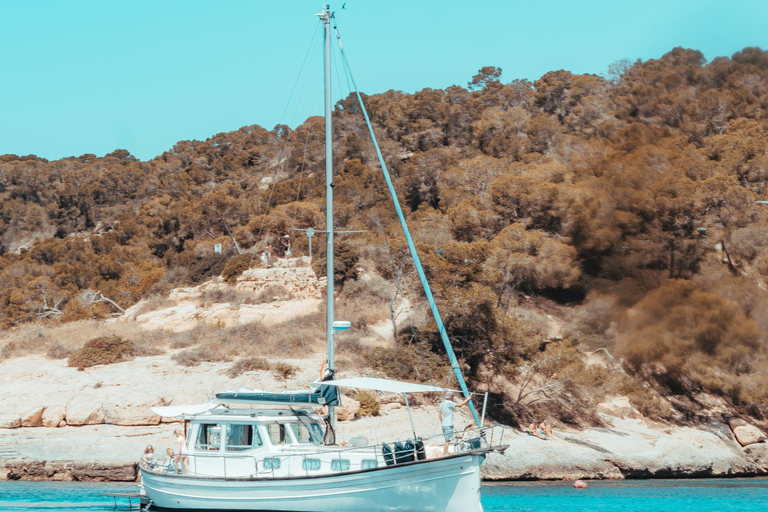 Palma: Private Classic Mallorcan Boat Tou Palma Bay: Cruise to Sea Caves or Calas with tapas & drinks