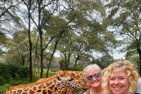 Welcome to Kenya: Your First Day in Nairobi Experience