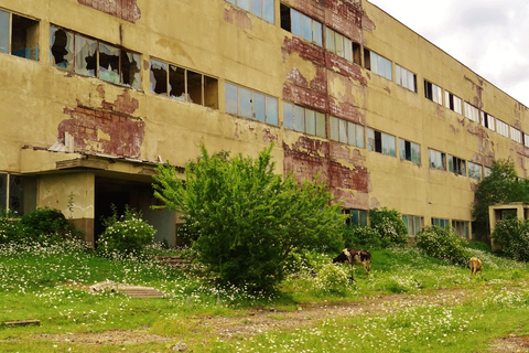 Urban exploration in Tbilisi – Private tour (price for 1 to 3 people)