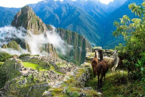 Cusco: Machu Picchu ganztägig + Mittagessen | Privat