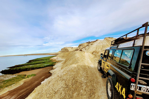 PUERTO MADRYN: PRZEŻYJ PRZYGODĘ 4 X 4 NA NAJPIĘKNIEJSZYCH PLAŻACH!