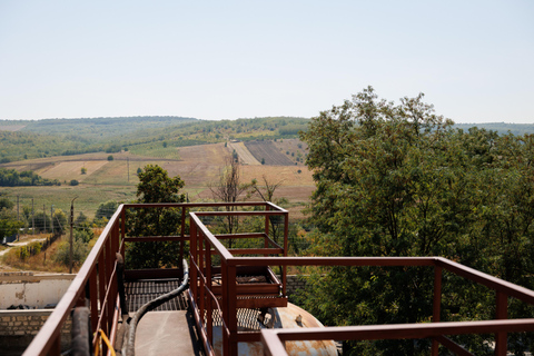 Mołdawia: zwiedzanie winnicy Doina i degustacja