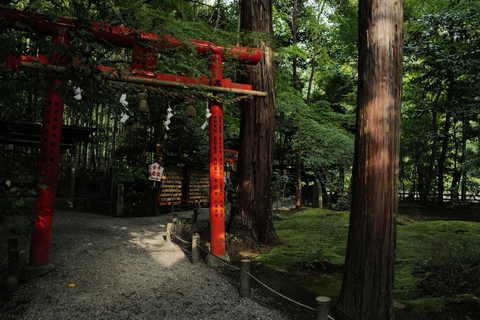 Kyoto Early Bird Tour Tokyo Round Trip Shinkansen Option Kyoto Early Bird Tour Tokyo One Way Trip Shinkansen Option