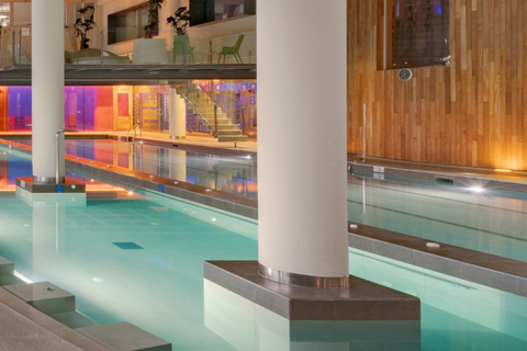 من مالقة: منتجع هيغيرون الصحي وتناول الطعام الفاخر - سيارة تيسلا X الفاخرة