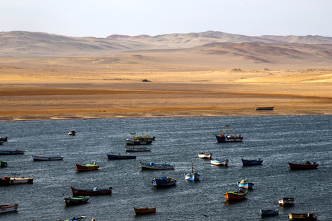 FD: Ica, Paracas - Ballestas Islands - Huacachina Excursion