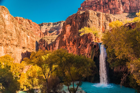 Vanuit Las Vegas: dagtrip naar Zion National Park