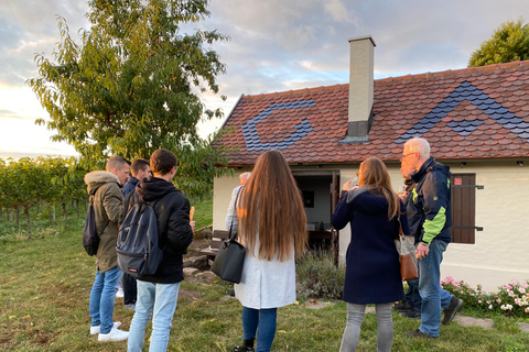 Stuttgart: Wine Tour with wines of the best winemakers Shared Tour