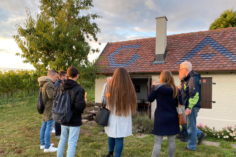 Stuttgart: Wine Tour with wines of the best winemakers Shared Tour