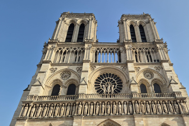 Parigi: visita la Cattedrale di Notre-Dame con una guida in lingua francese