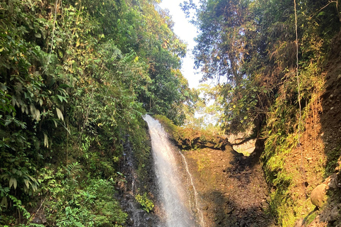 Quito: 3-Day Amazon Experience with Spa & Indigenous Visit