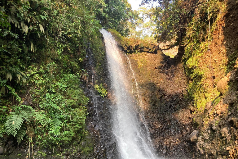 Quito: 3-Day Amazon Experience with Spa & Indigenous Visit