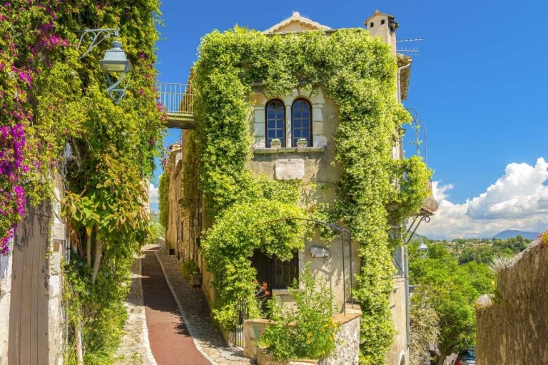 Au départ de Nice : Visites guidées d'une journée en Provence et dégustation de vinsVisite privée