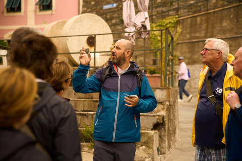 From Florence: Cinque Terre Day Trip with stop in Pisa Cinque Terre: Semi-Private Tour