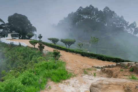 Ella: Hill Country Train Ride & Lipton’s Seat Tuk-Tuk Tour