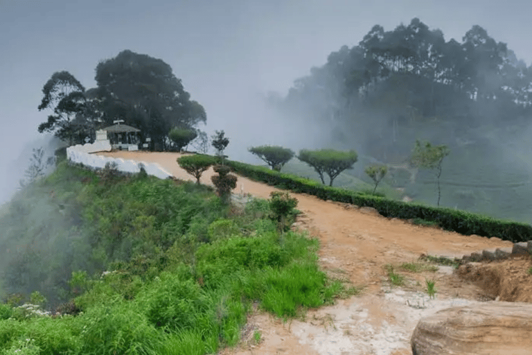 Ella: Hill Country Train Ride & Lipton’s Seat Tuk-Tuk Tour