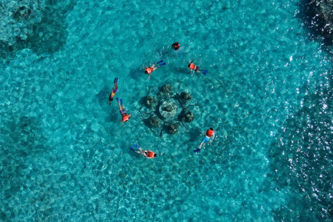 Cancun: Mayan Jungle Tour with Speedboat & Snacks Cancun: Mayan Jungle Tour with Speedboat & Snack w/ Transfer