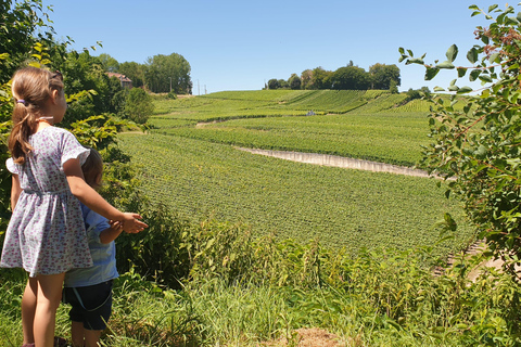 Reims : Entdeckungstour Kleine Produzenten Champagner Tagestour
