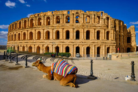 Kairouan & El Jem: Guided Visit to Historic UNESCO Sites Half-Day Private Tour : Kairouan