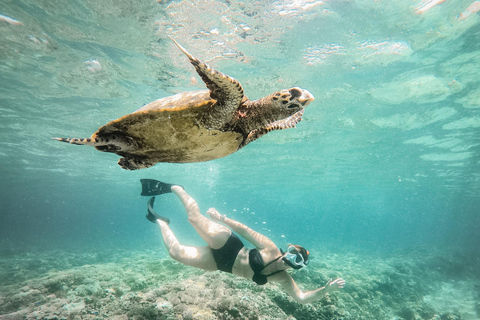 Au départ de Bali : Excursion privée de plongée en apnée aux îles GiliVisite privée de 4 heures de plongée en apnée avec GoPro (lieu de rendez-vous)