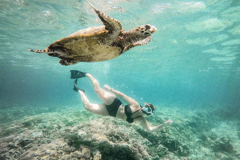 Au départ de Bali : Excursion privée de plongée en apnée aux îles GiliVisite privée de 4 heures de plongée en apnée avec GoPro (lieu de rendez-vous)