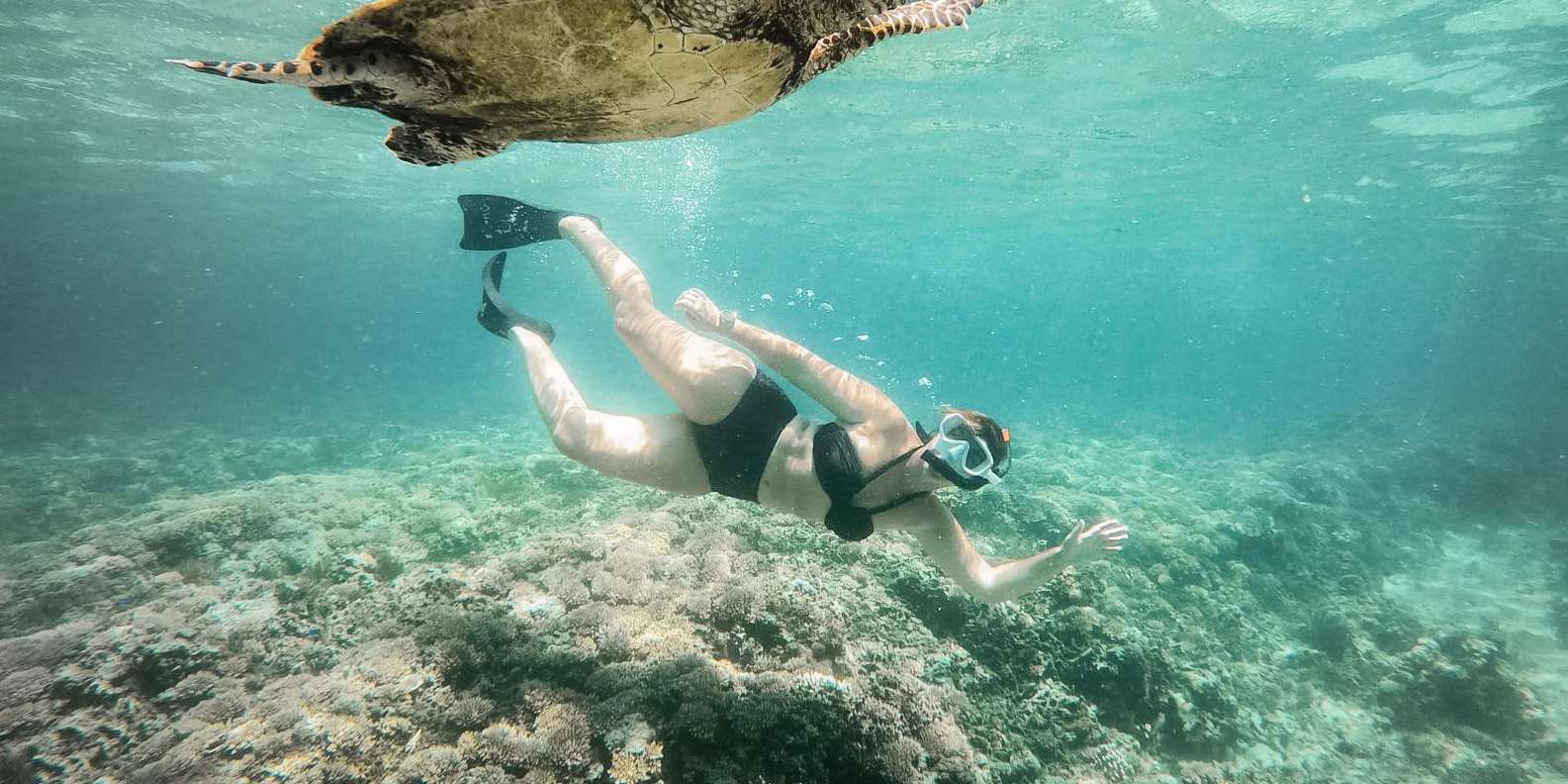 Bali snorkeling tour — underwater marine life and coral reefs — image 26