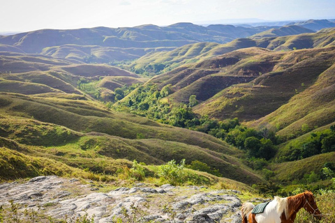 Nusa Penida: Private Island Tour All Include Shuttle & Lunch Private Tour West Penida All Includes Shuttle Hotel in Bali