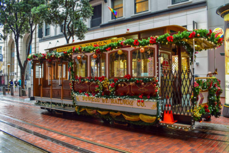 San Francisco: Private Holiday Driving Tour Private Luxury Van/Chauffeur: 11 People or less