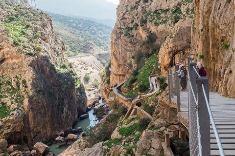 From Fuengirola: Caminito del Rey Guided Day Trip From Fuengirola