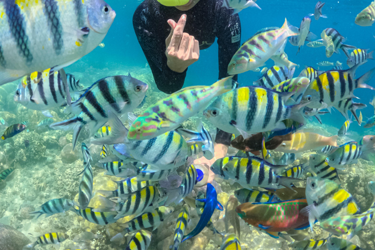 Lombok: Private Snorkeling Trip Gili Nanggu,Kedis,Tangkong Lombok: Private Gili Islands Snorkeling Trip For Big Group