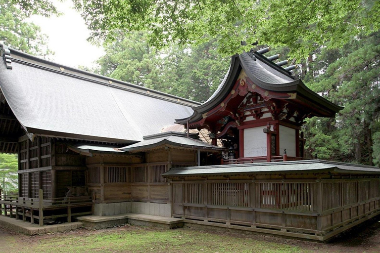 Tokyo: City Full-Day Private Scenic Tour With English Guide