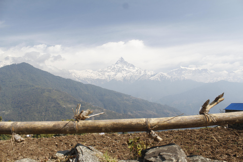 Från Katmandu: 7-dagars vandring i Langtangdalen