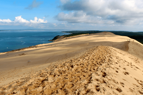 From Bordeaux: Arcachon Bay Afternoon and Seafood From Bordeaux: Arcachon Bay Afternoon