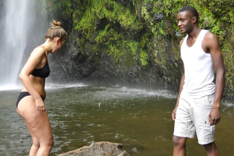 Moshi : excursion d&#039;une journée aux chutes d&#039;eau de Materuni et à la découverte du café