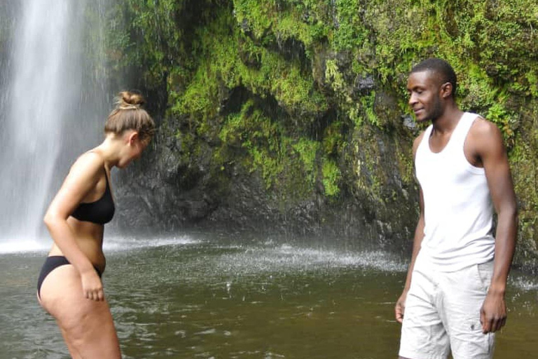 Moshi : excursion d&#039;une journée aux chutes d&#039;eau de Materuni et à la découverte du café