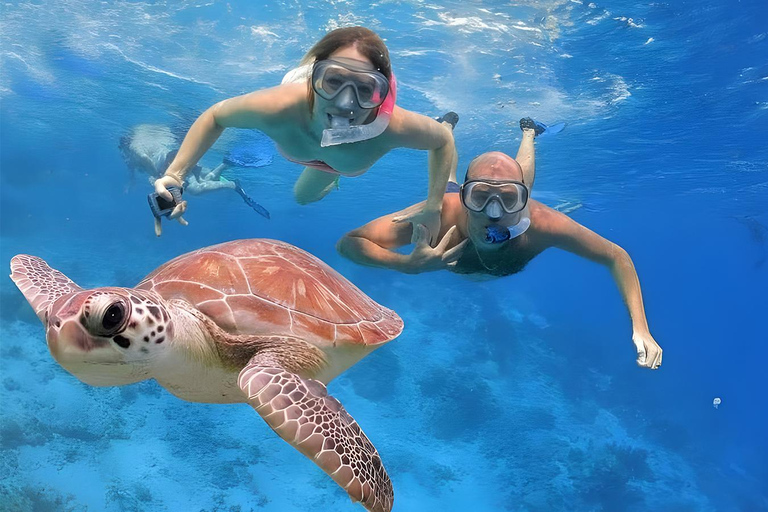 Marsa Alam: Hamata Islands Snorkeling Cruise with Lunch