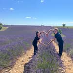 Da Aix-en-Provence: Tour di mezza giornata sulla lavanda