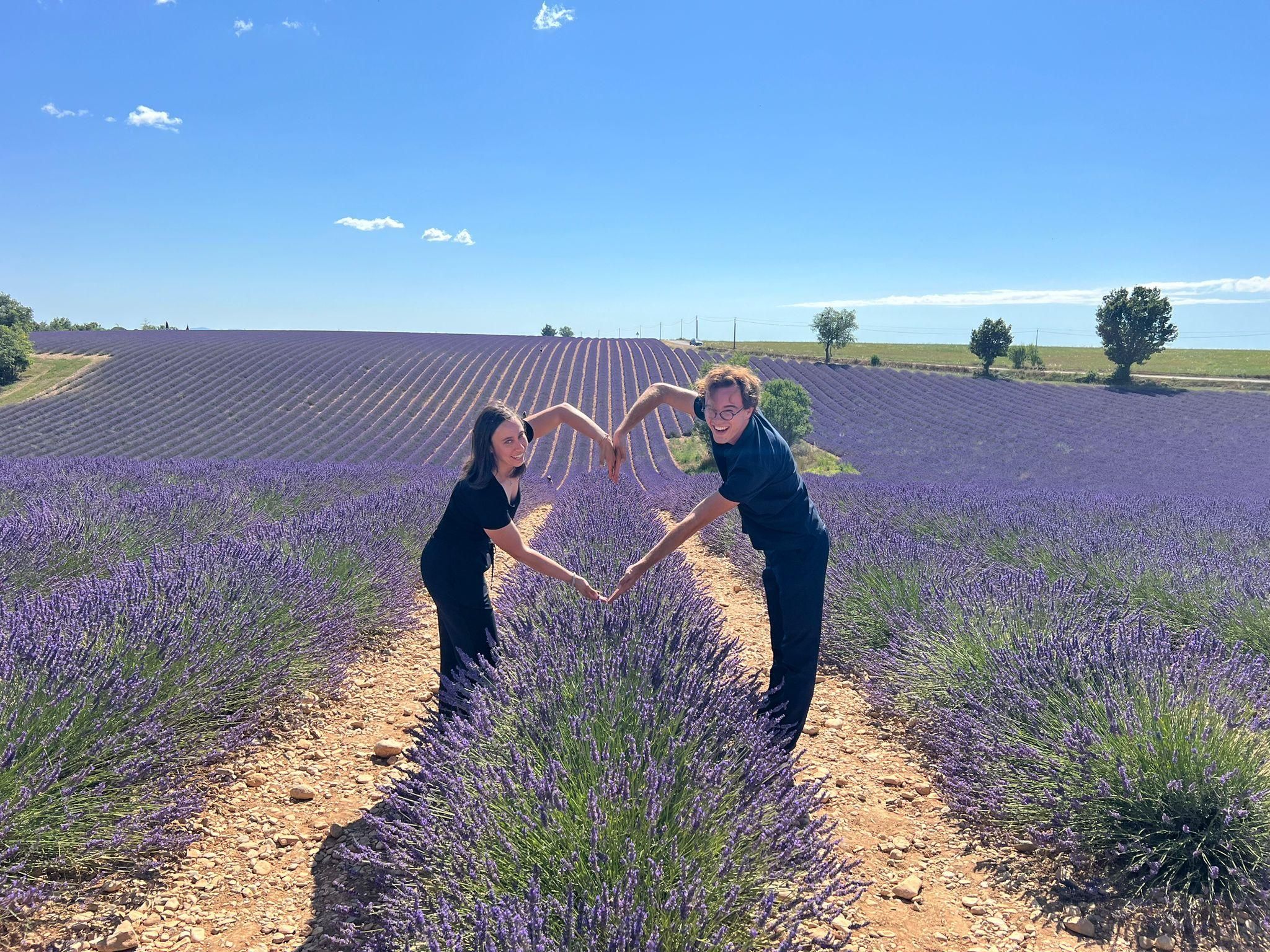 Von Aix-en-Provence aus: Lavendel Halbtagestour