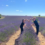 Von Aix-en-Provence aus: Lavendel Halbtagestour
