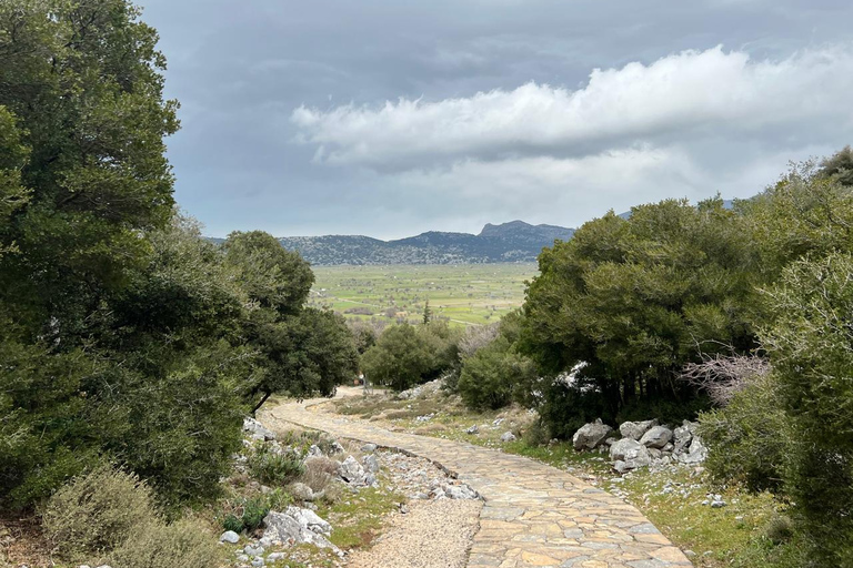 Un día memorable en la Cueva de Zeus y la Meseta de Lasithi