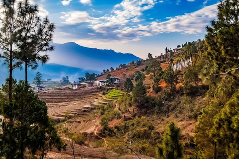 From Thimphu - Enchanting Bhutan tour with Guide 5 days TourMaximum 6 Persons Group