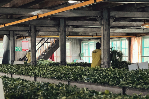 Sri Lanka: 6-Day Photography Tour with Hotel & Guide