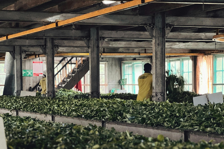 Sri Lanka: 6-Day Photography Tour with Hotel & Guide