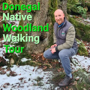 Donegal Native Woodland Walking Tour