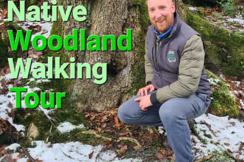 Donegal Native Woodland Walking Tour - Image 3