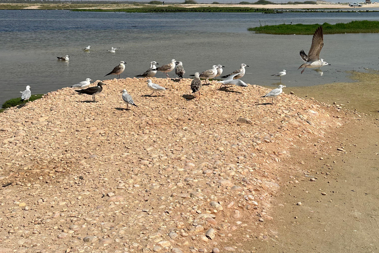 Salalah: Wadi Derbat, Jabal Samhan, & Sink Hole Private Tour